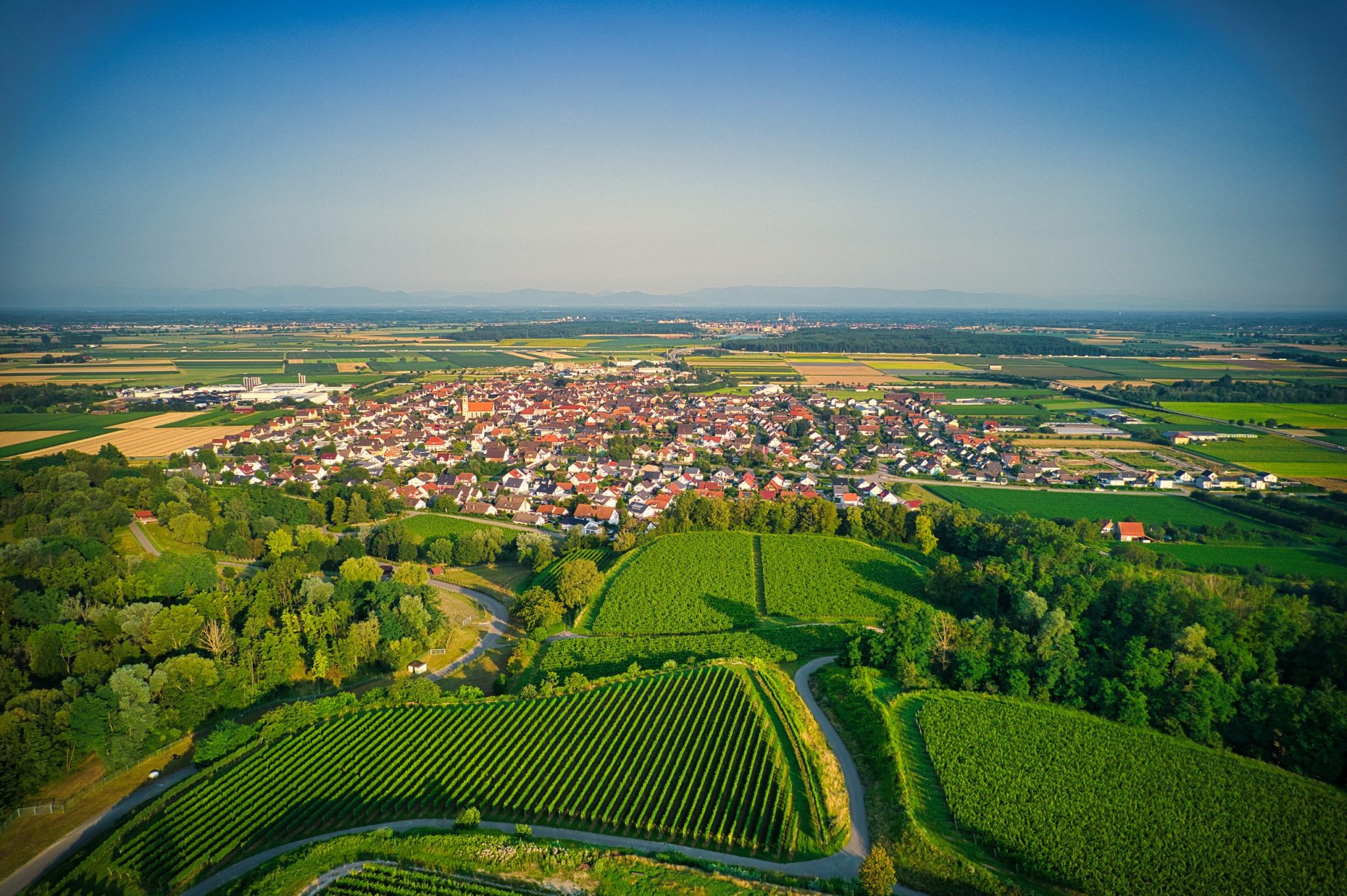 Read more about the article Ringsheim
