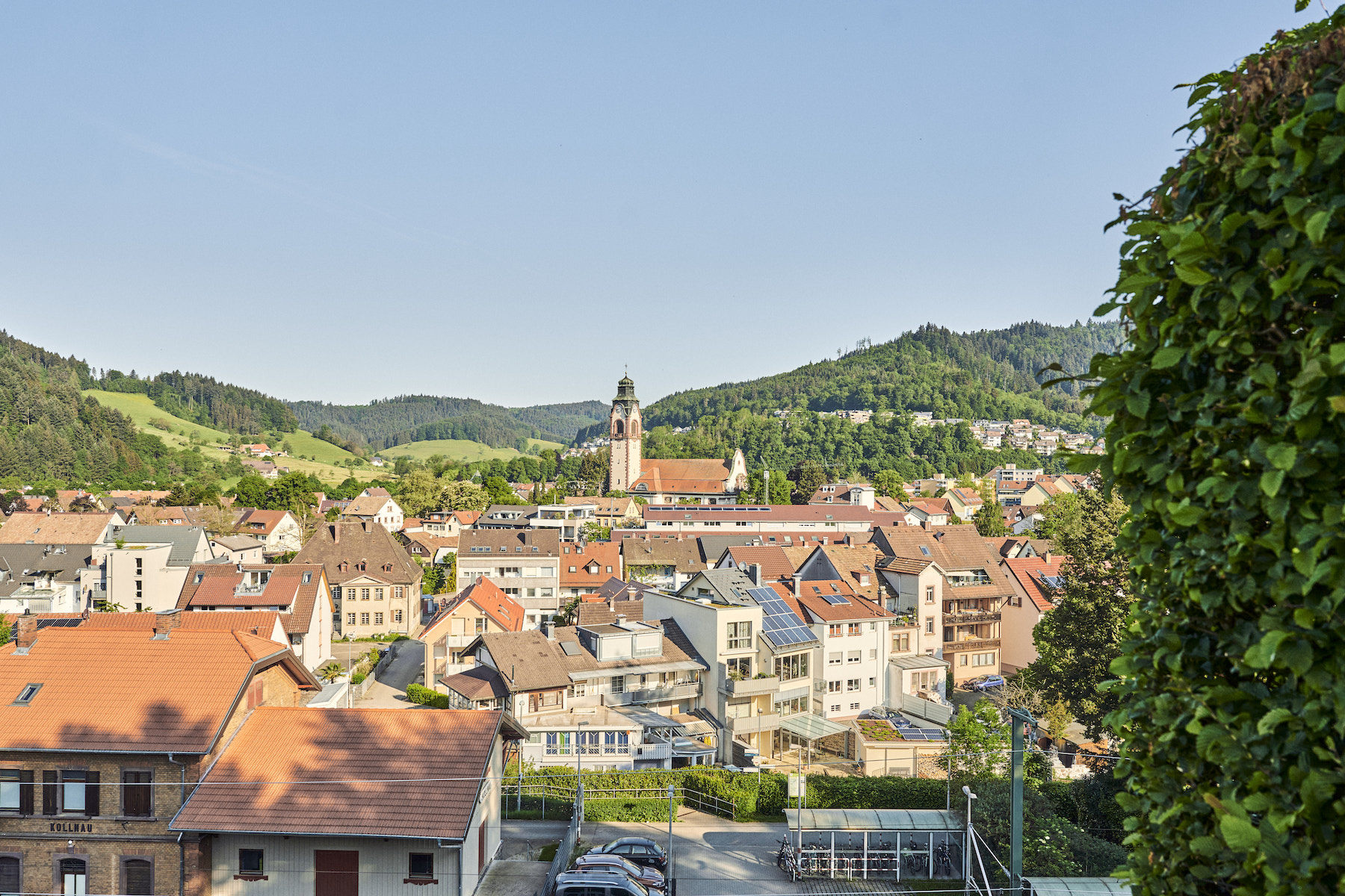 Read more about the article Waldkirch-Buchholz