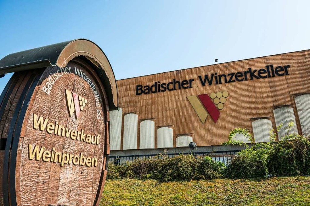 Read more about the article Badischer Winzerkeller ist 70. Tradition und Moderne.
