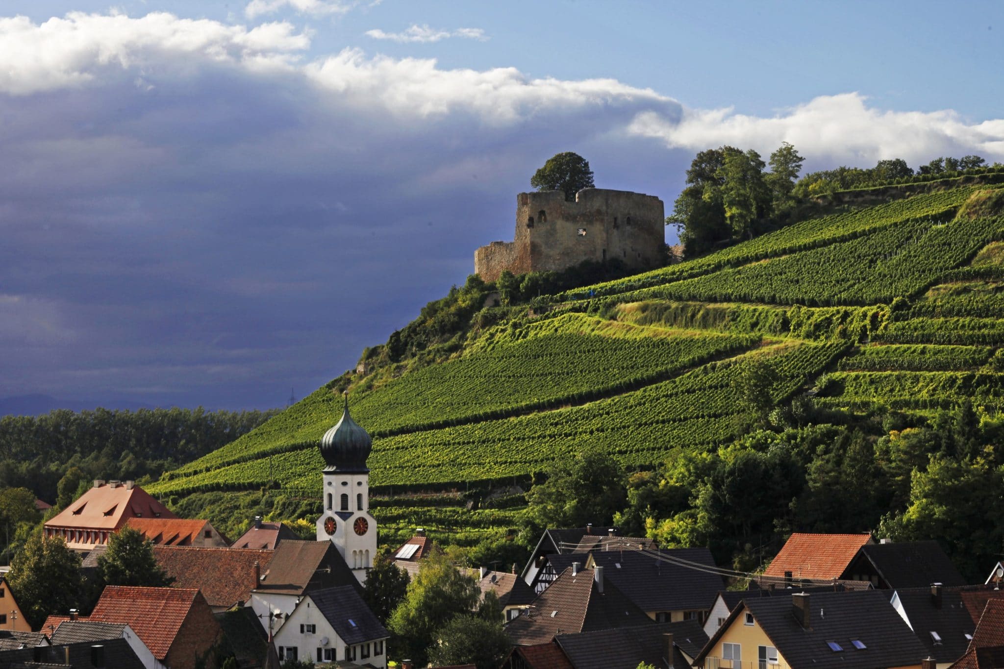 Read more about the article Weingut Bernhard Huber